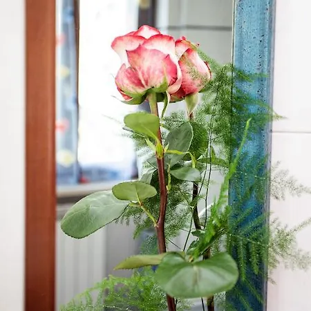 Al Rivobello Appartement Rivotorto