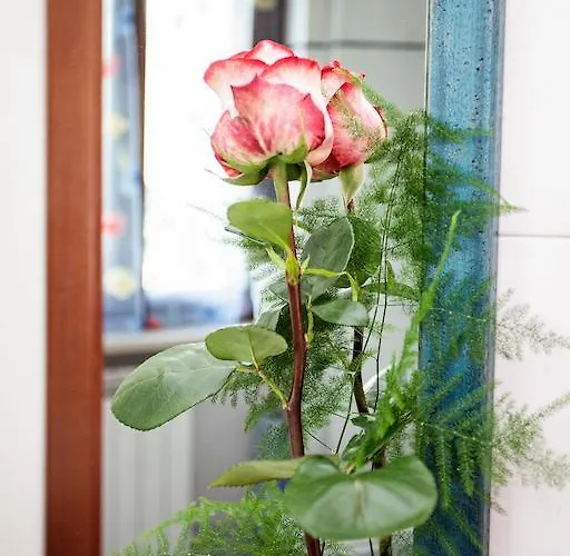 Al Rivobello Appartement Rivotorto